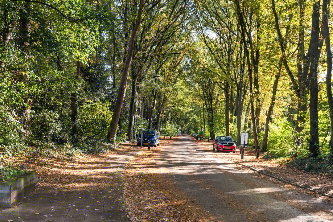 Foto 46 van Kamperfoeliehof 21