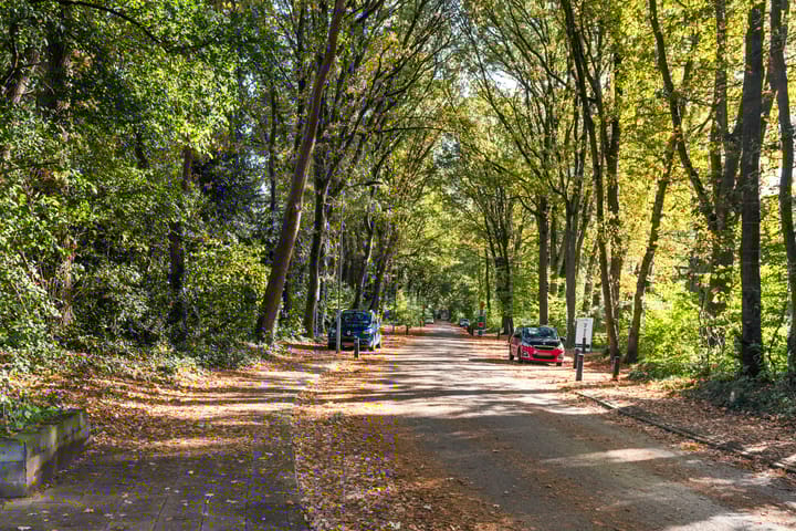 Photo 46 of Kamperfoeliehof 21