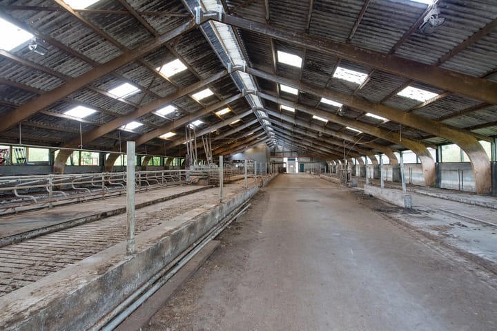 Photo 41 of Hoofdstraat 15