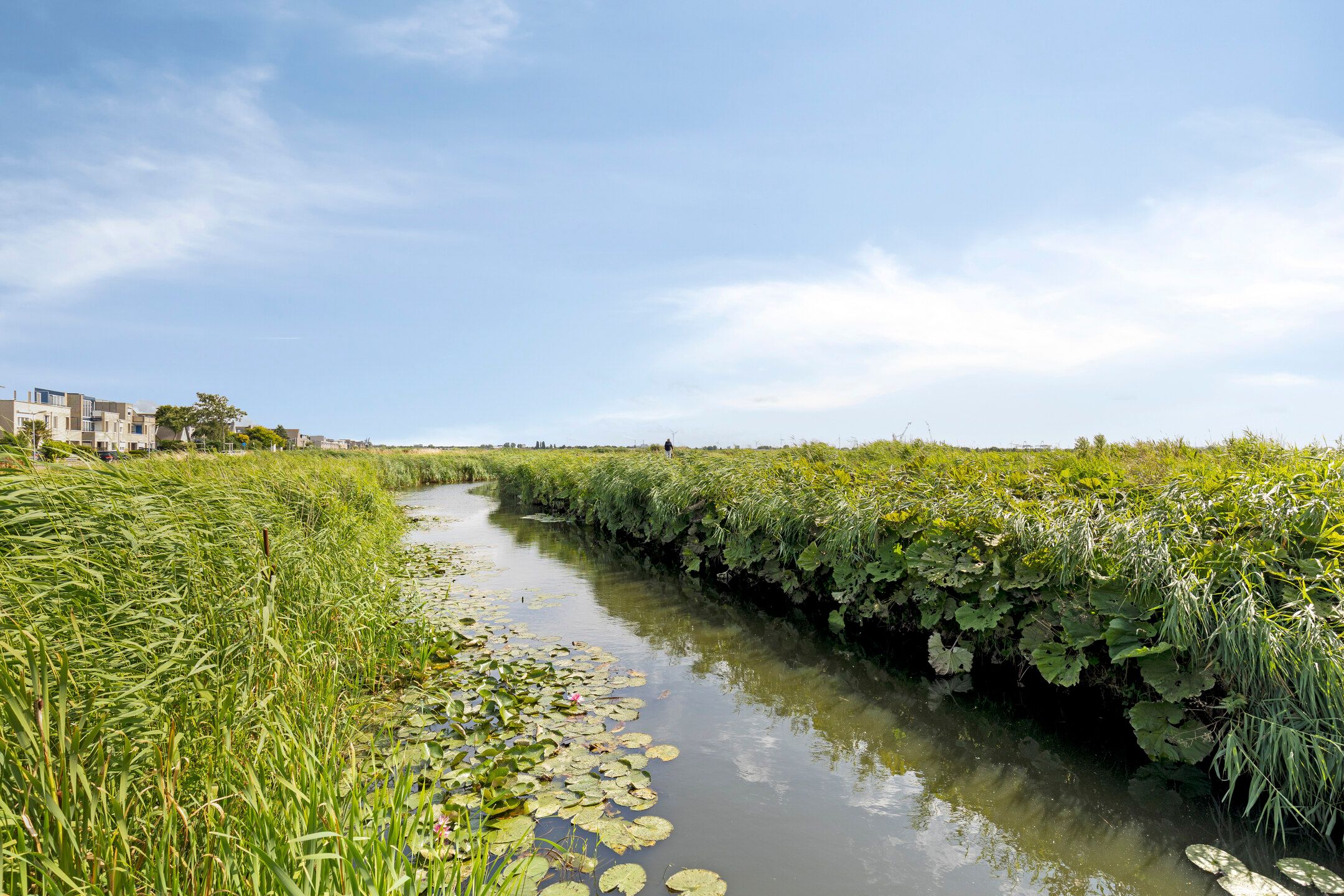 Photo 33 of J. Kruijverstraat 99