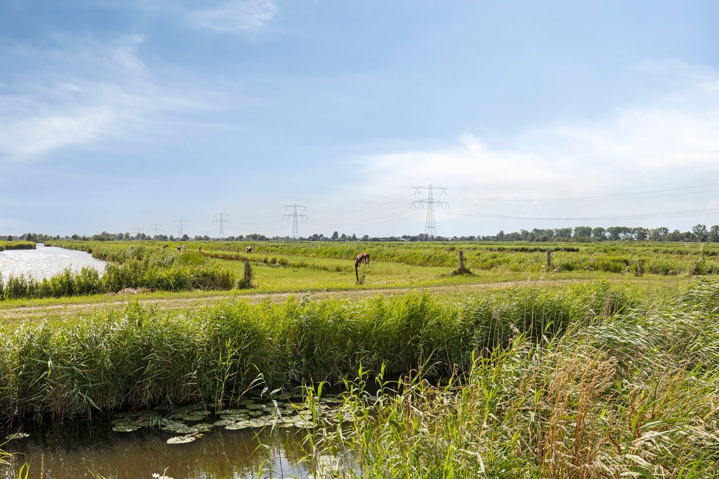 Photo 34 of J. Kruijverstraat 99