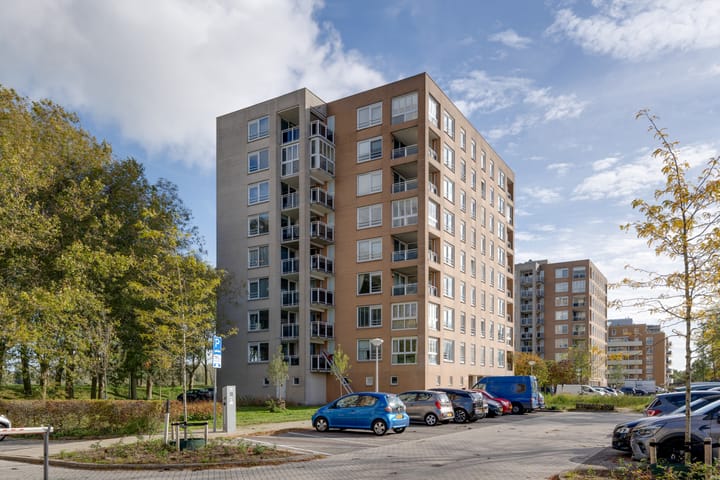 Photo 4 of Hermelijnvlinder 147