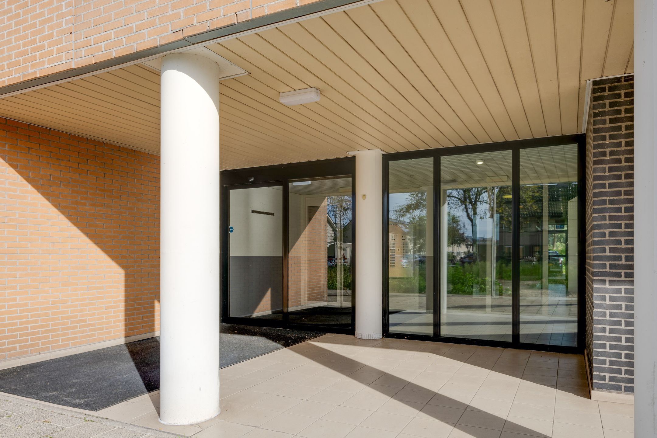 Photo 6 of Hermelijnvlinder 147