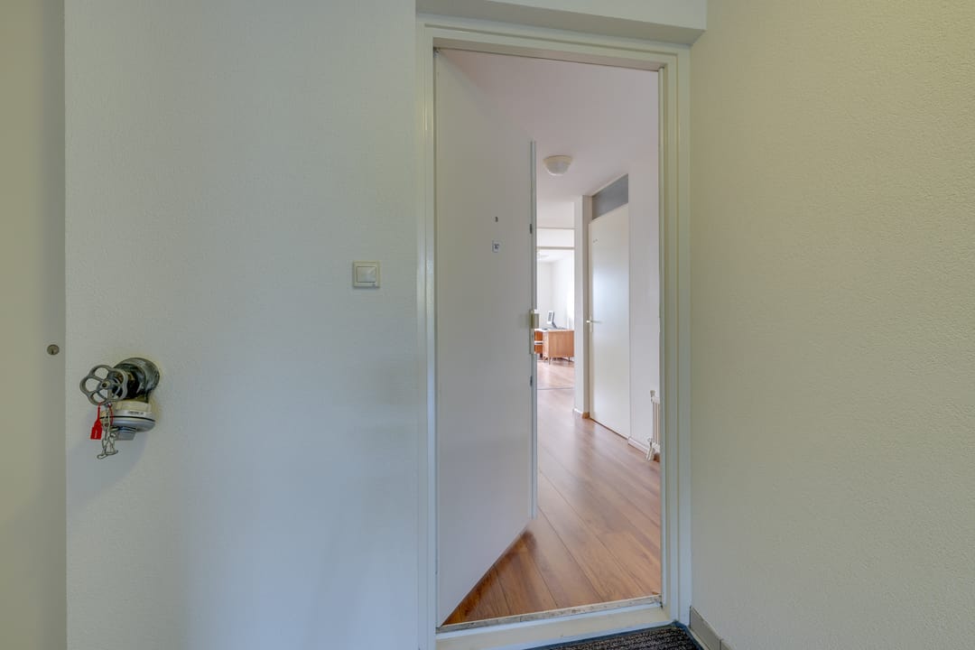 Photo 7 of Hermelijnvlinder 147