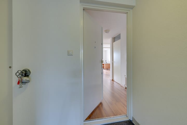 Photo 7 of Hermelijnvlinder 147