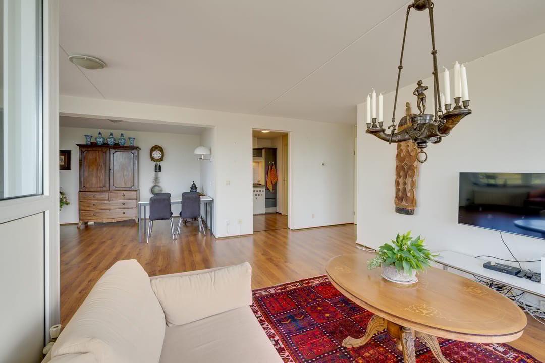 Photo 16 of Hermelijnvlinder 147