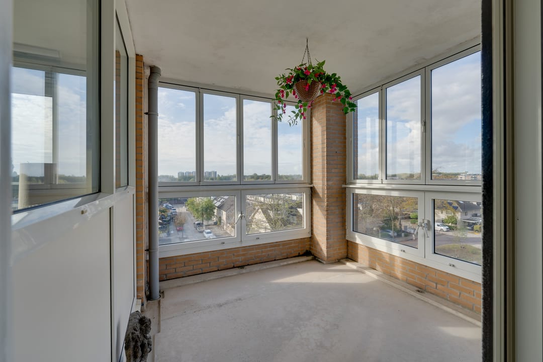 Photo 23 of Hermelijnvlinder 147