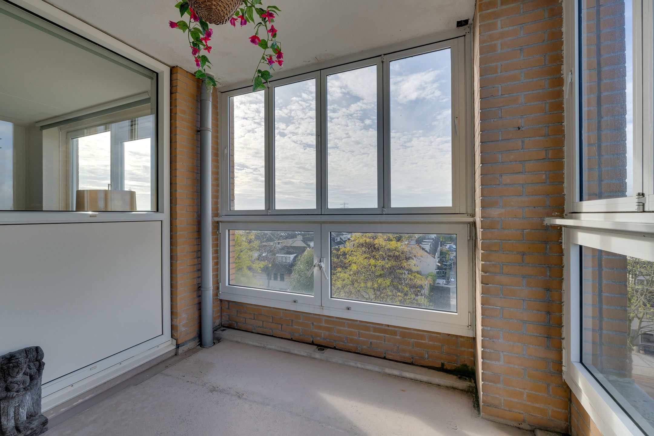 Photo 24 of Hermelijnvlinder 147