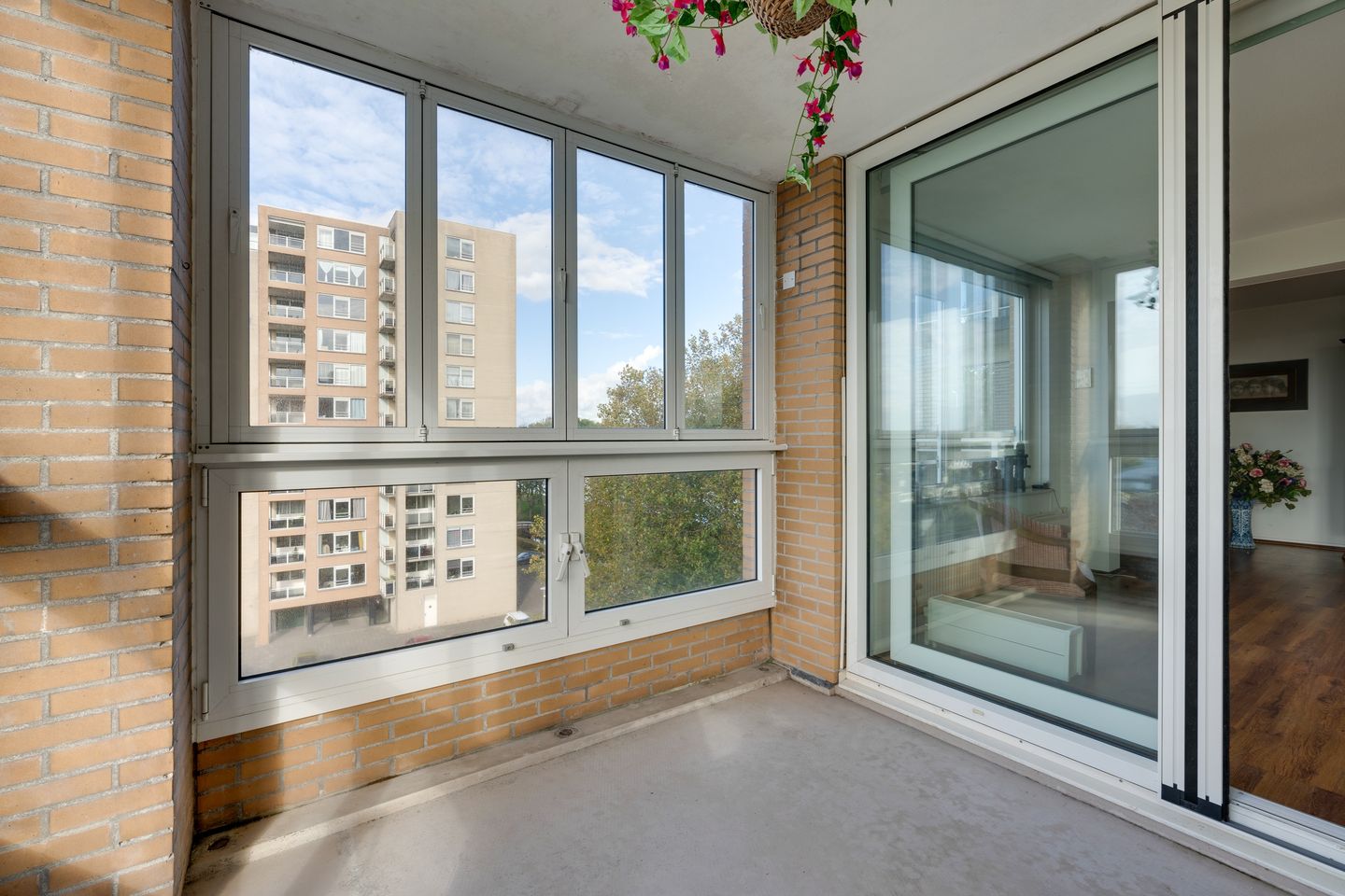 Photo 25 of Hermelijnvlinder 147