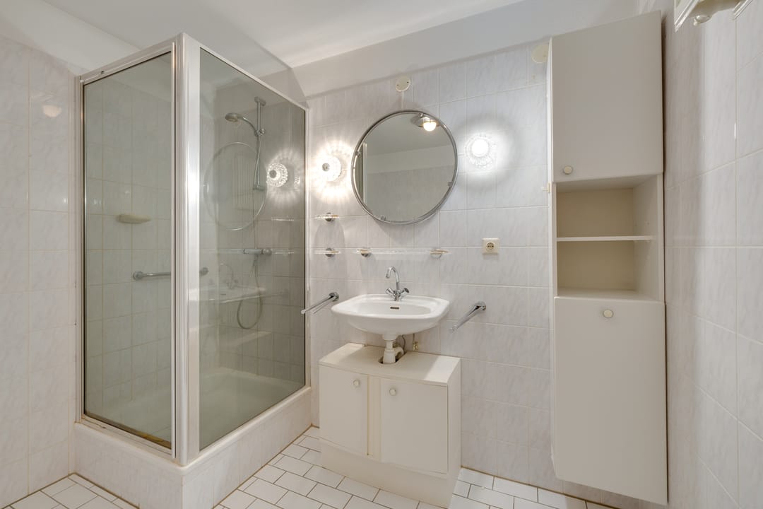 Photo 38 of Hermelijnvlinder 147