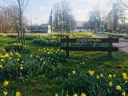 Photo 36 of Loenensestraat 50