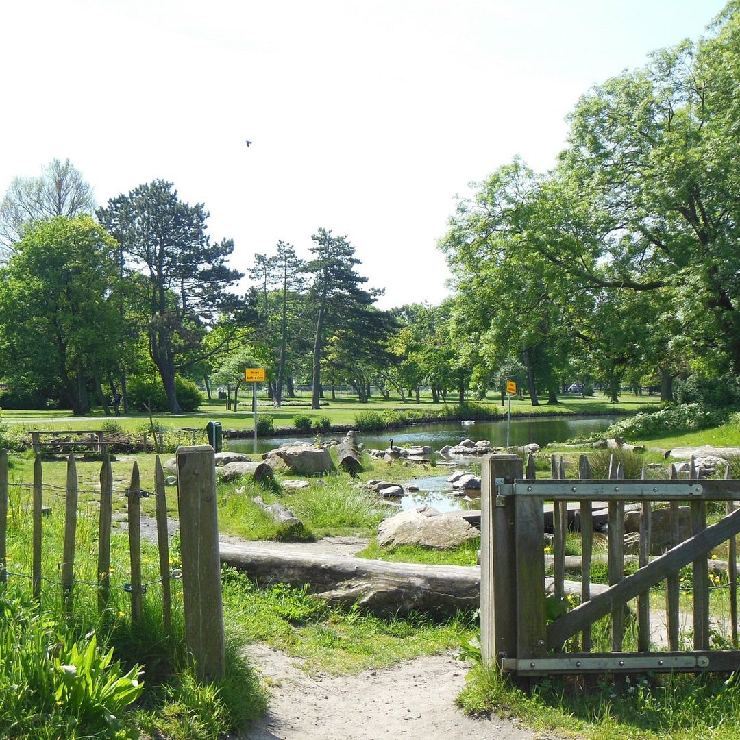 Photo 37 of Loenensestraat 50