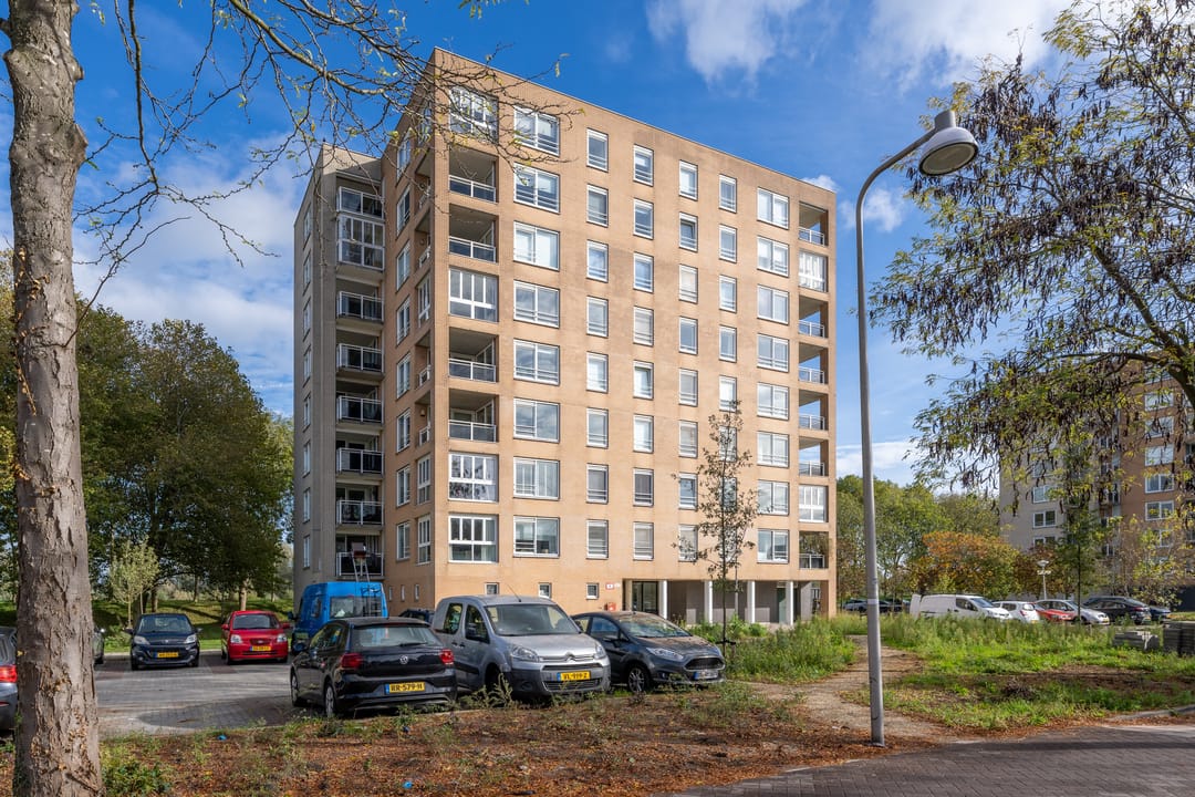 Photo 41 of Hermelijnvlinder 147