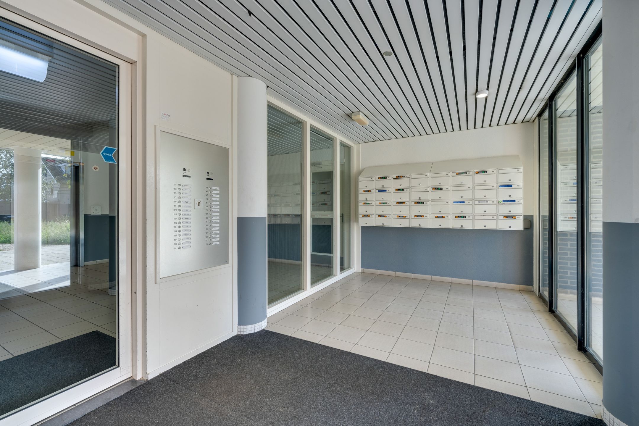 Photo 42 of Hermelijnvlinder 147