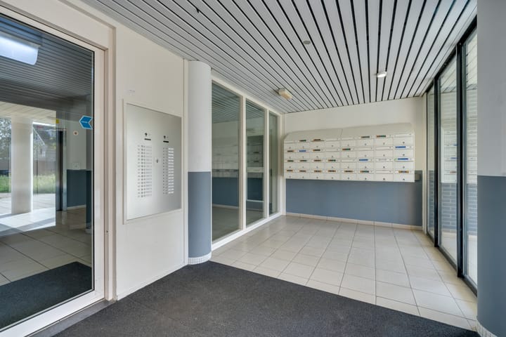 Photo 42 of Hermelijnvlinder 147