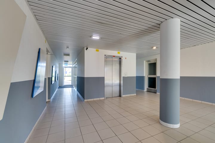 Photo 43 of Hermelijnvlinder 147