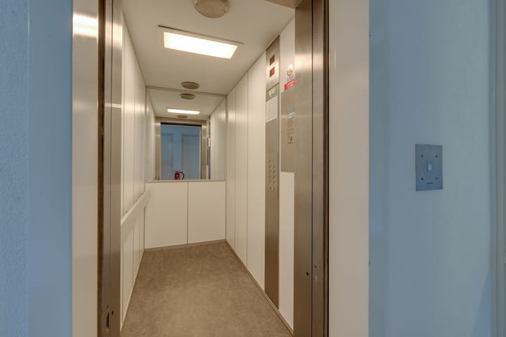 Photo 44 of Hermelijnvlinder 147