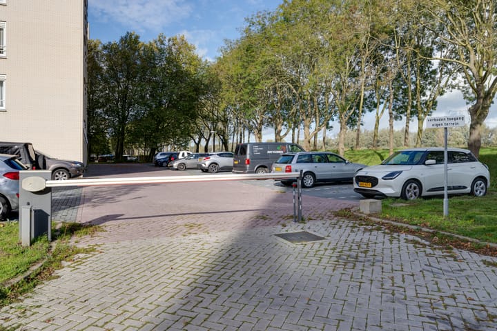 Photo 45 of Hermelijnvlinder 147