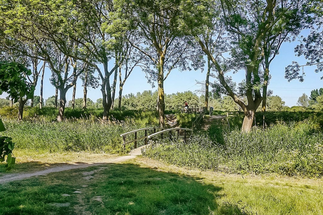 Photo 46 of Hermelijnvlinder 147