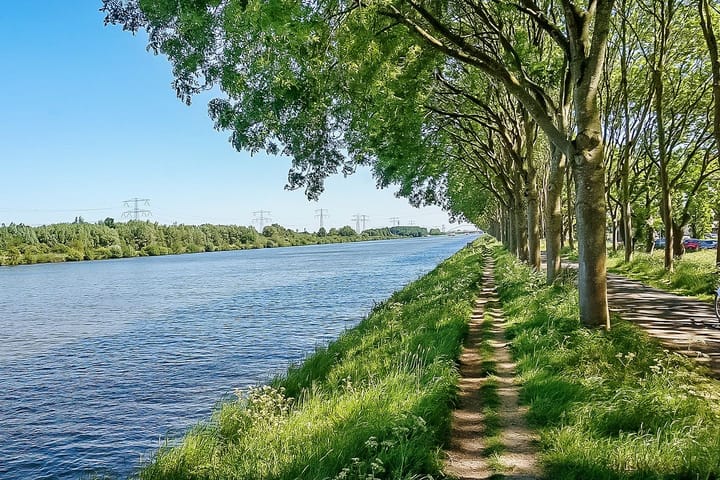 Photo 47 of Hermelijnvlinder 147