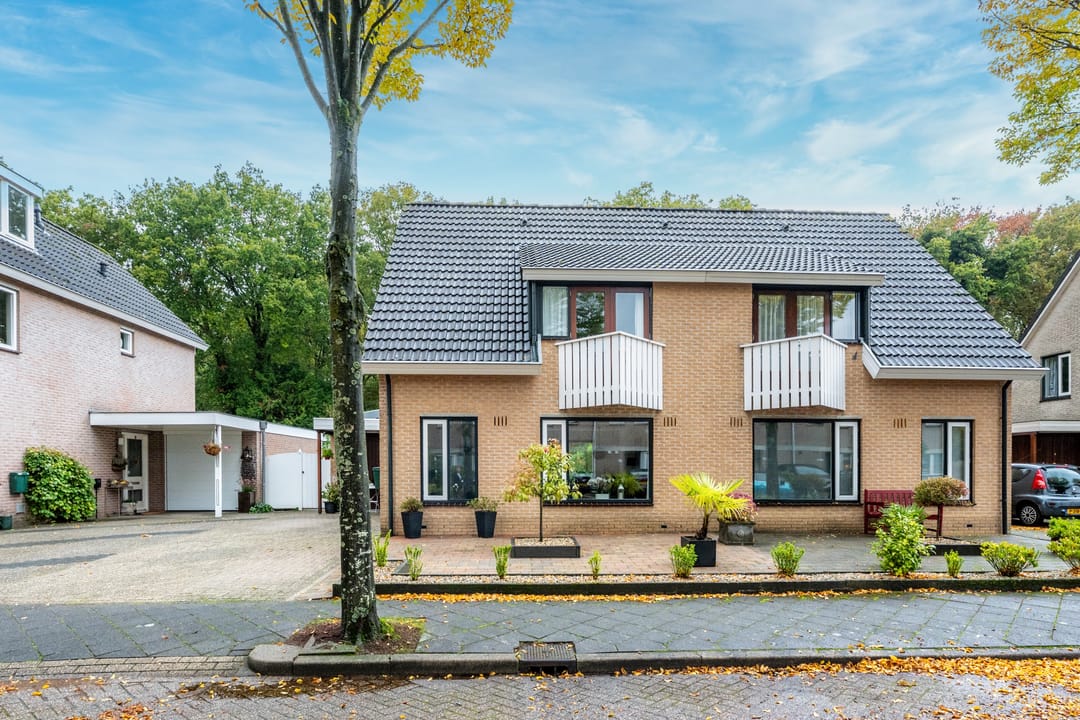 Foto 2 van Apollovlinder 30