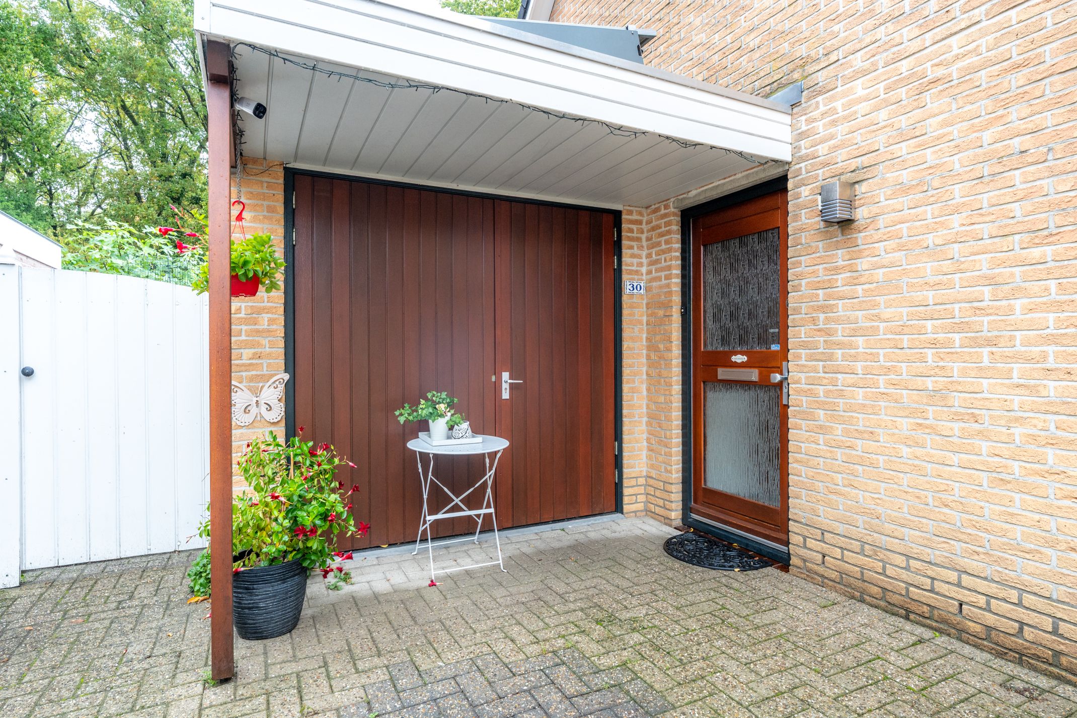 Foto 3 van Apollovlinder 30