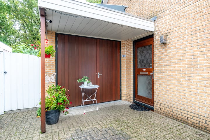 Foto 3 van Apollovlinder 30