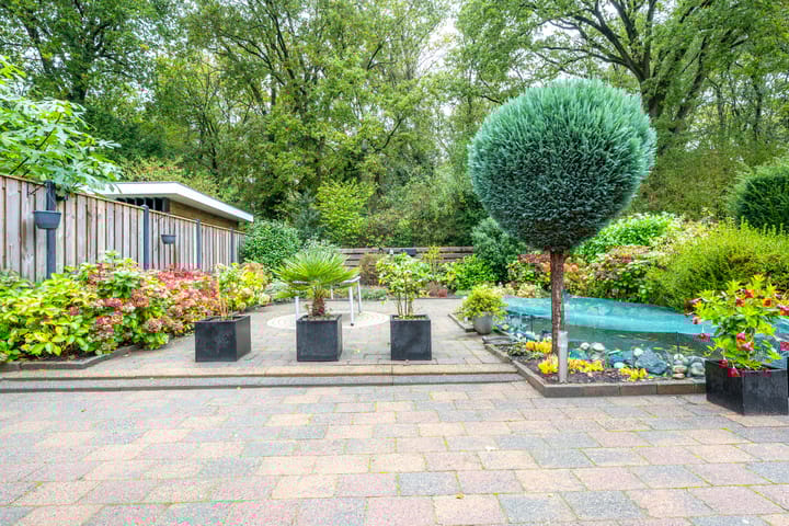 Foto 16 van Apollovlinder 30