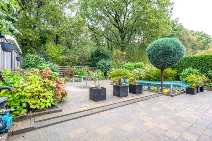 Foto 17 van Apollovlinder 30