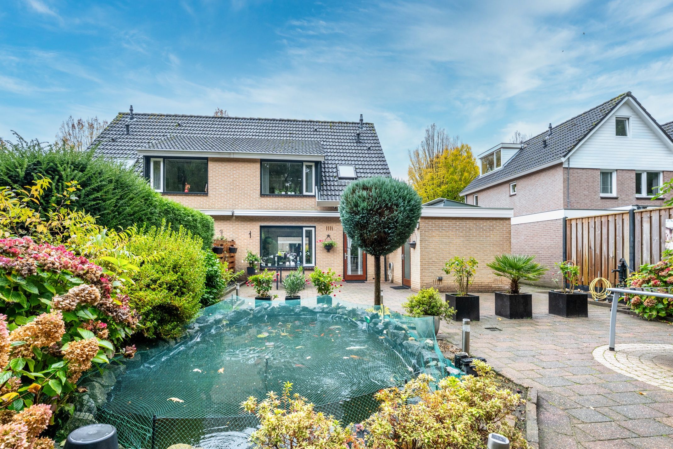 Foto 18 van Apollovlinder 30