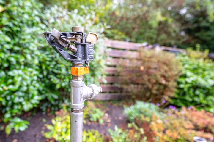 Foto 19 van Apollovlinder 30