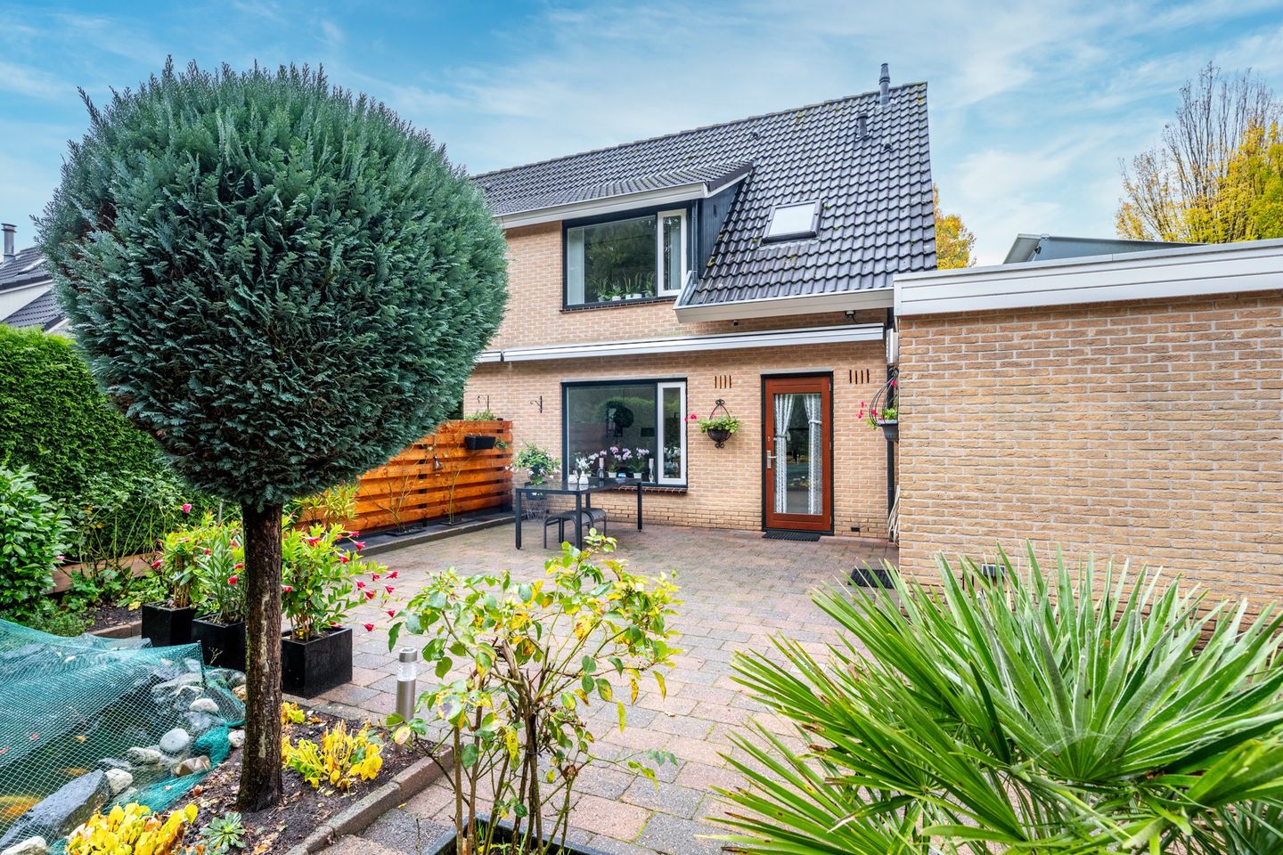 Foto 20 van Apollovlinder 30