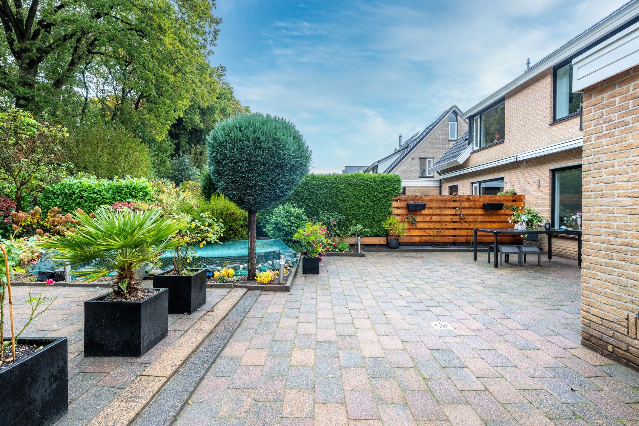 Foto 21 van Apollovlinder 30