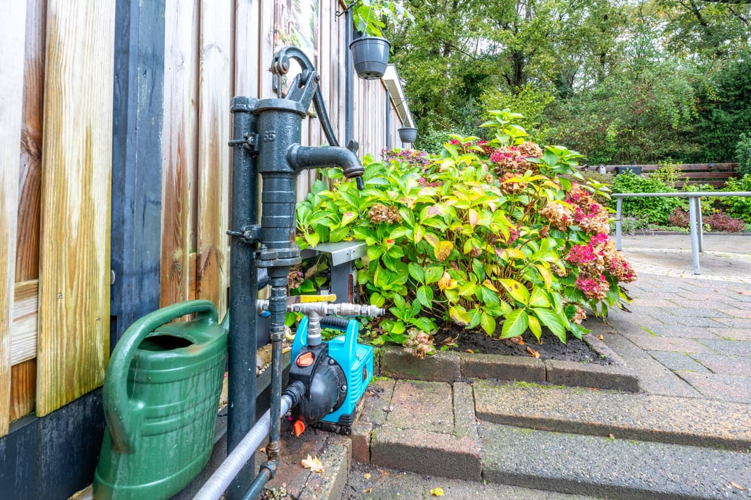 Foto 22 van Apollovlinder 30