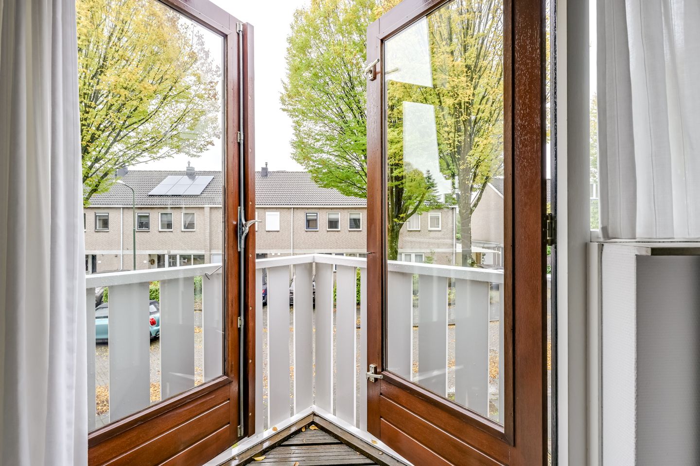 Foto 25 van Apollovlinder 30