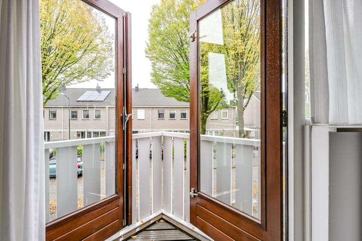 Foto 25 van Apollovlinder 30