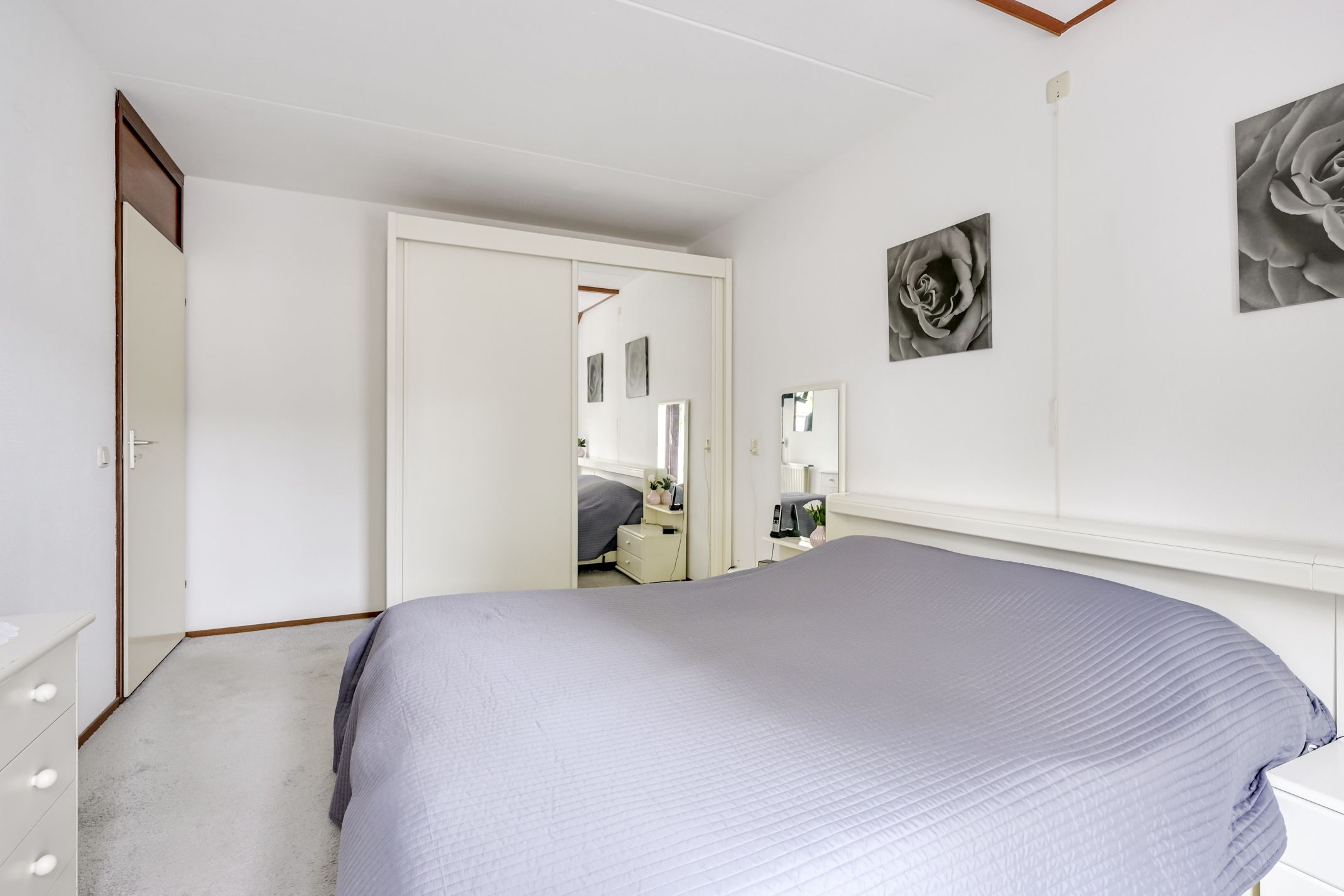 Foto 27 van Apollovlinder 30