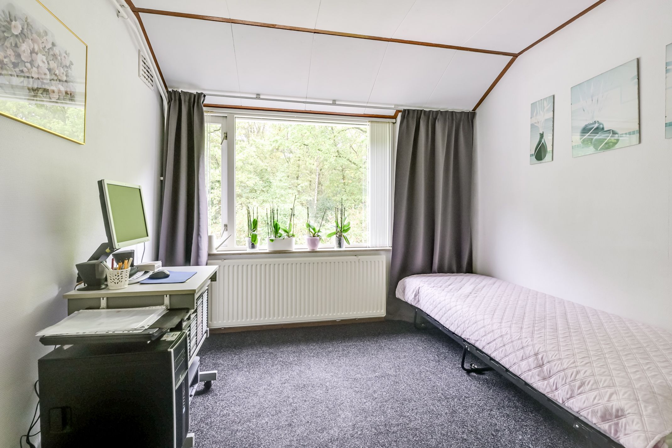 Foto 30 van Apollovlinder 30