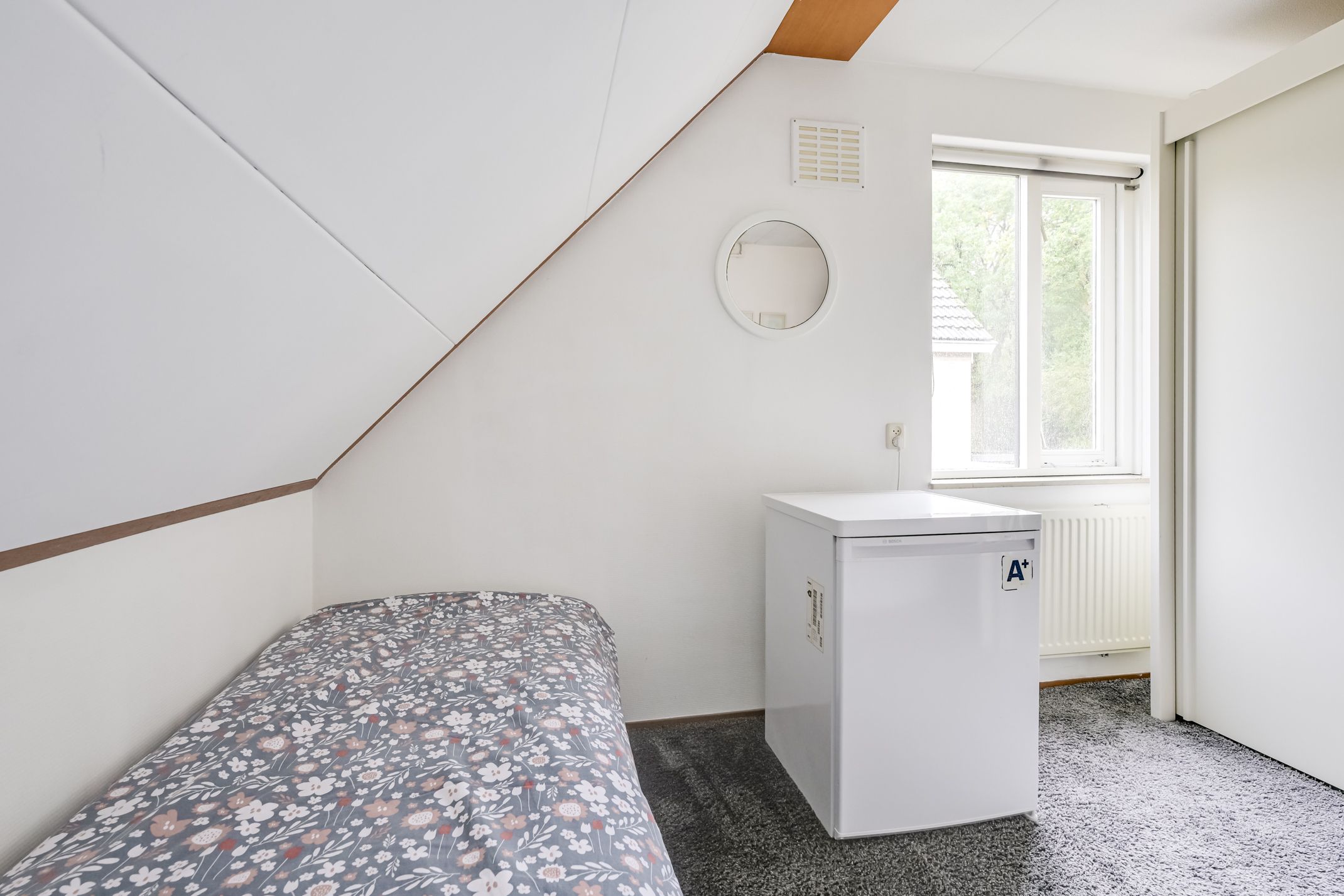 Foto 33 van Apollovlinder 30