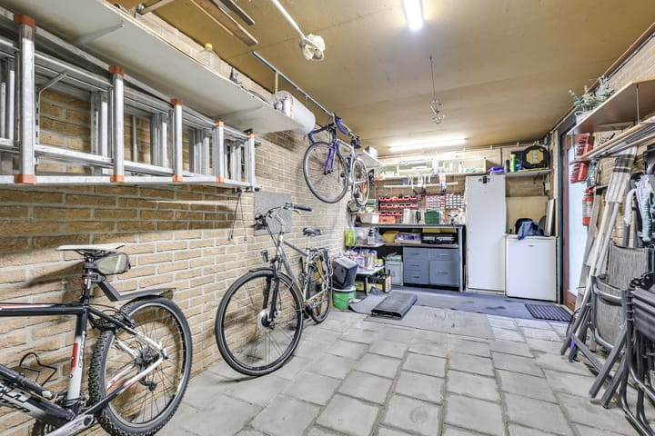 Foto 37 van Apollovlinder 30