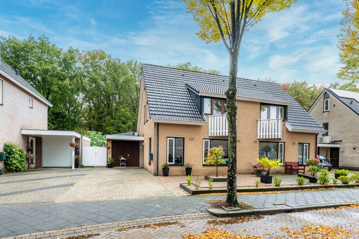 Foto 38 van Apollovlinder 30