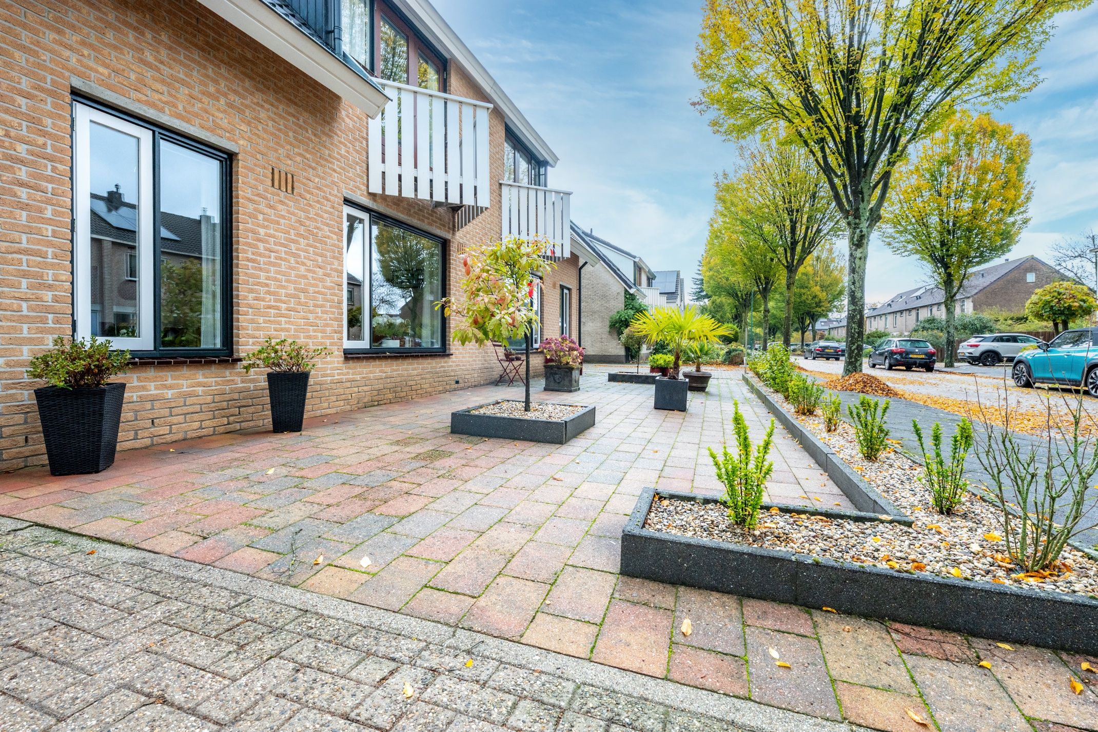 Foto 39 van Apollovlinder 30