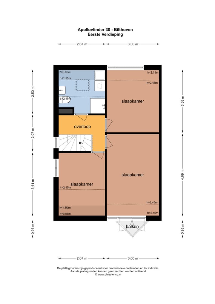 Foto 43 van Apollovlinder 30