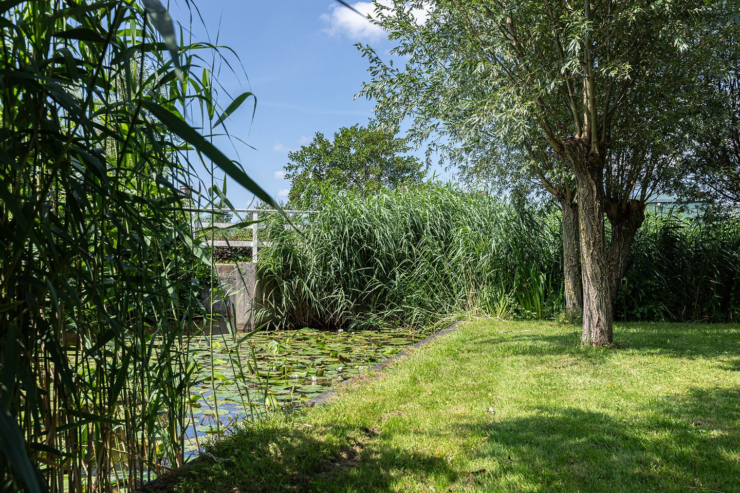 Photo 64 of Heulenslag 57