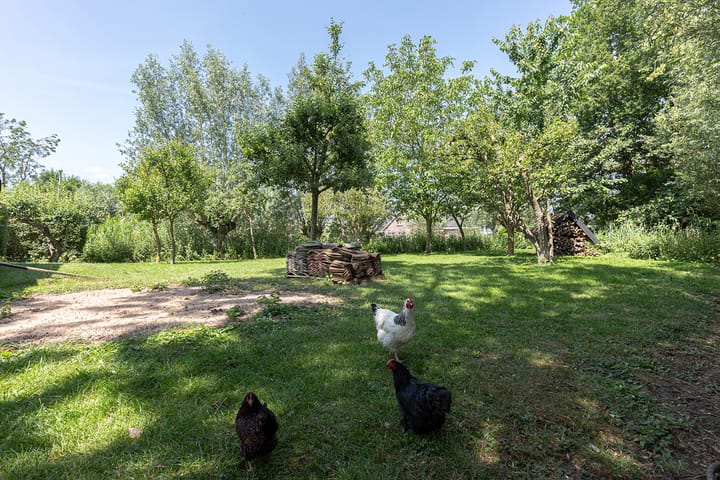 Photo 75 of Heulenslag 57