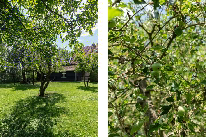 Photo 77 of Heulenslag 57