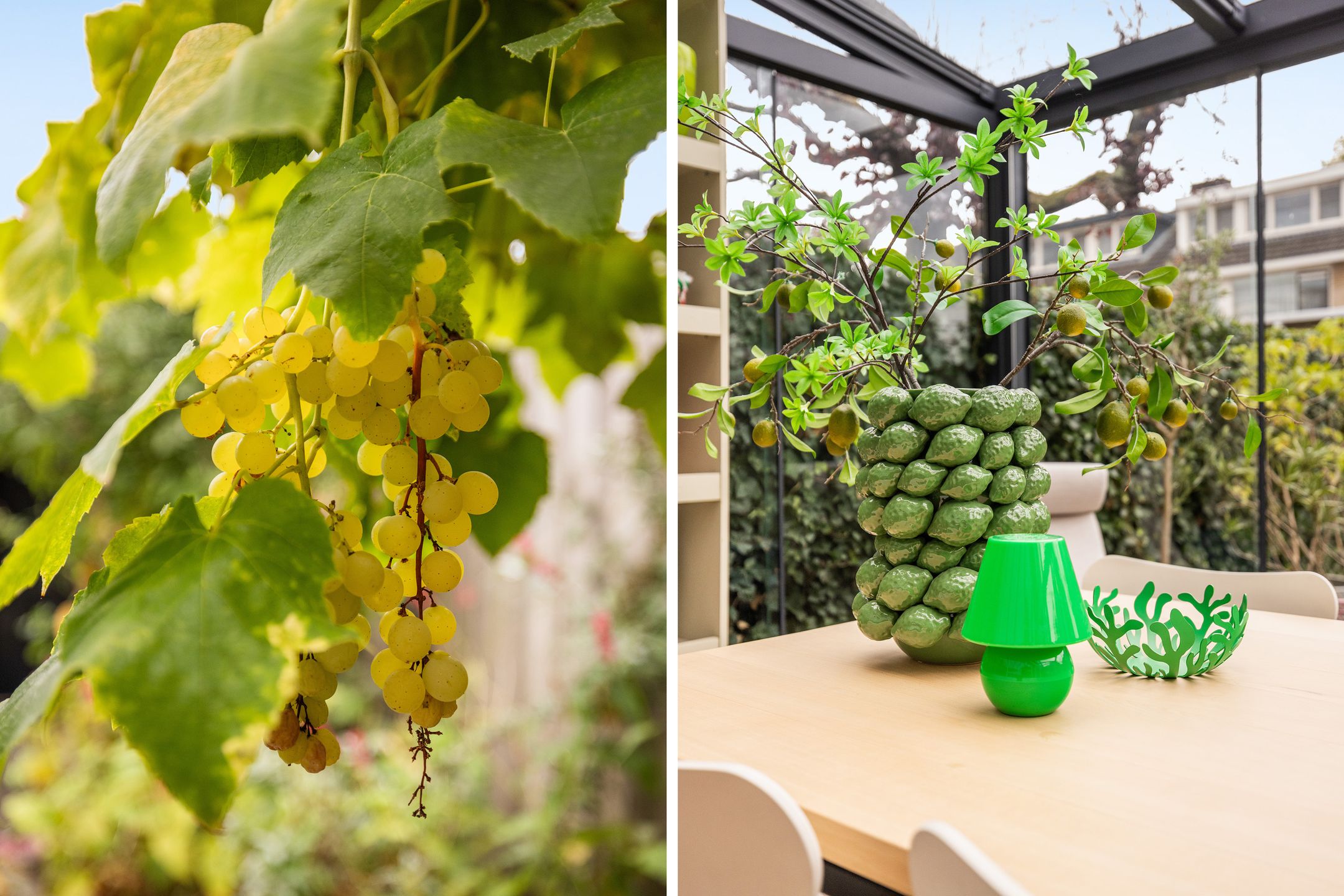 Foto 24 van Iepenlaan 45