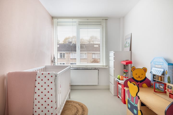 Photo 35 of Iepenlaan 45