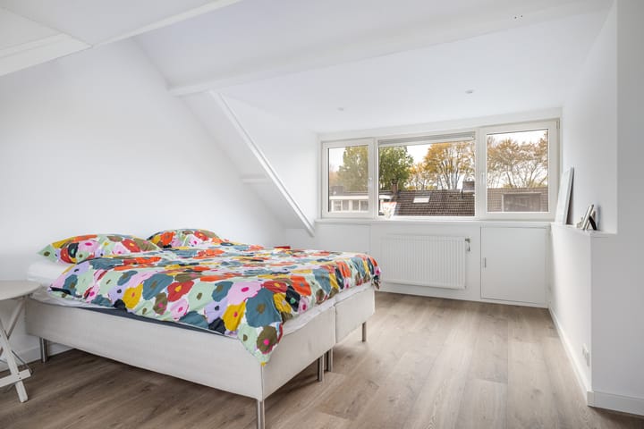 Photo 40 of Iepenlaan 45