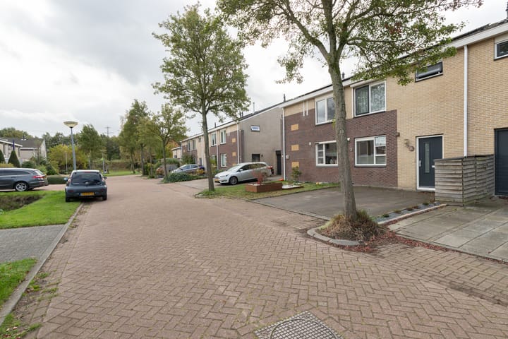 Foto 40 van Plutostraat 31